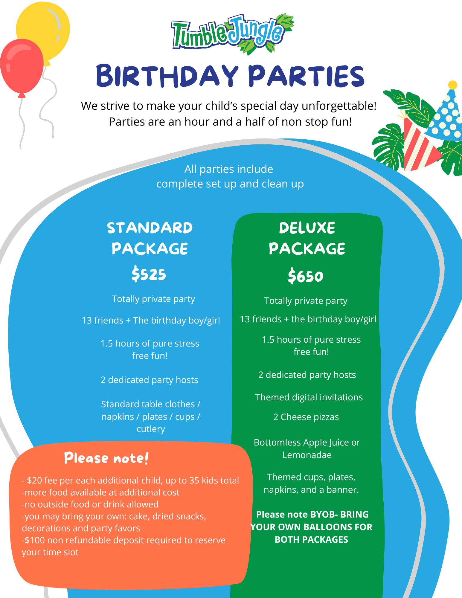 Birthday party flyer (3)